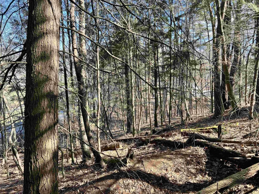 00 Snow Lane Windsor VT 05089