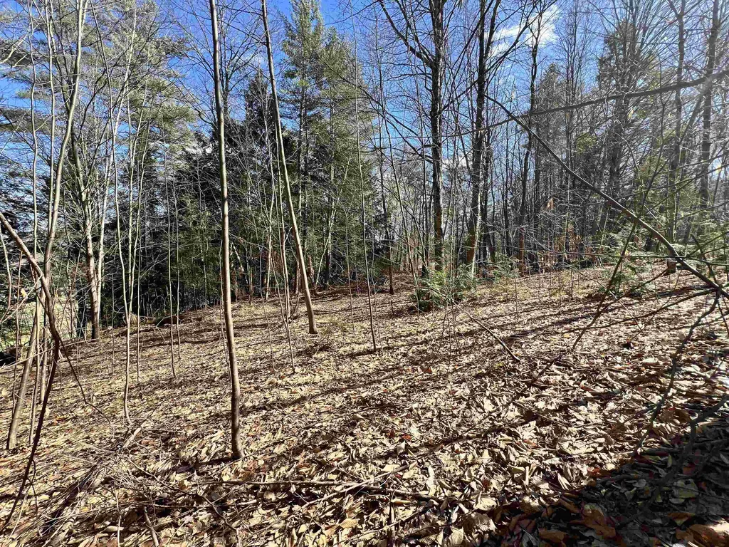 00 Snow Lane Windsor VT 05089