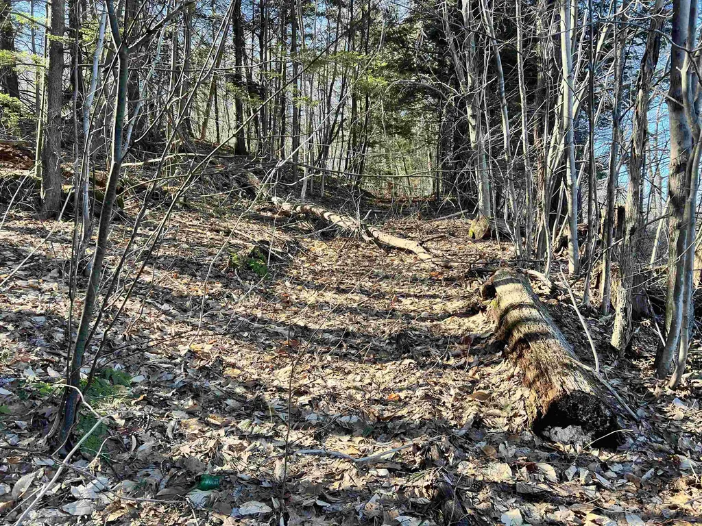 00 Snow Lane Windsor VT 05089