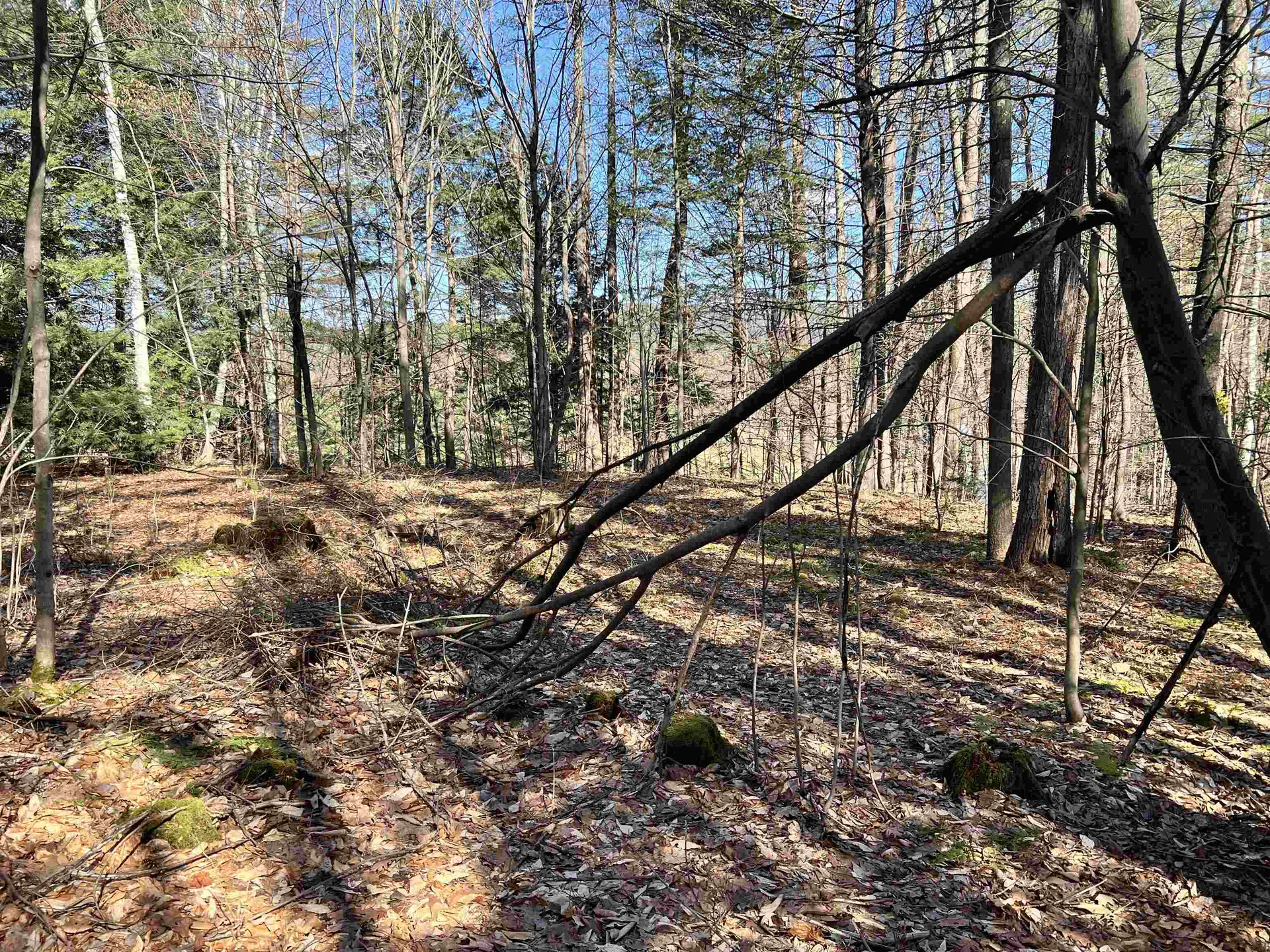 00 Snow Lane Windsor VT 05089