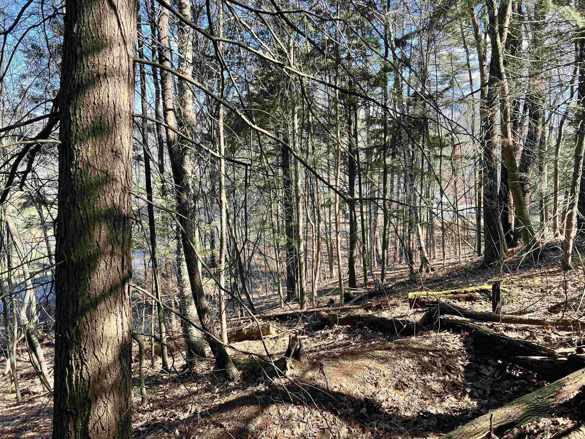 00 Snow Lane Windsor VT 05089