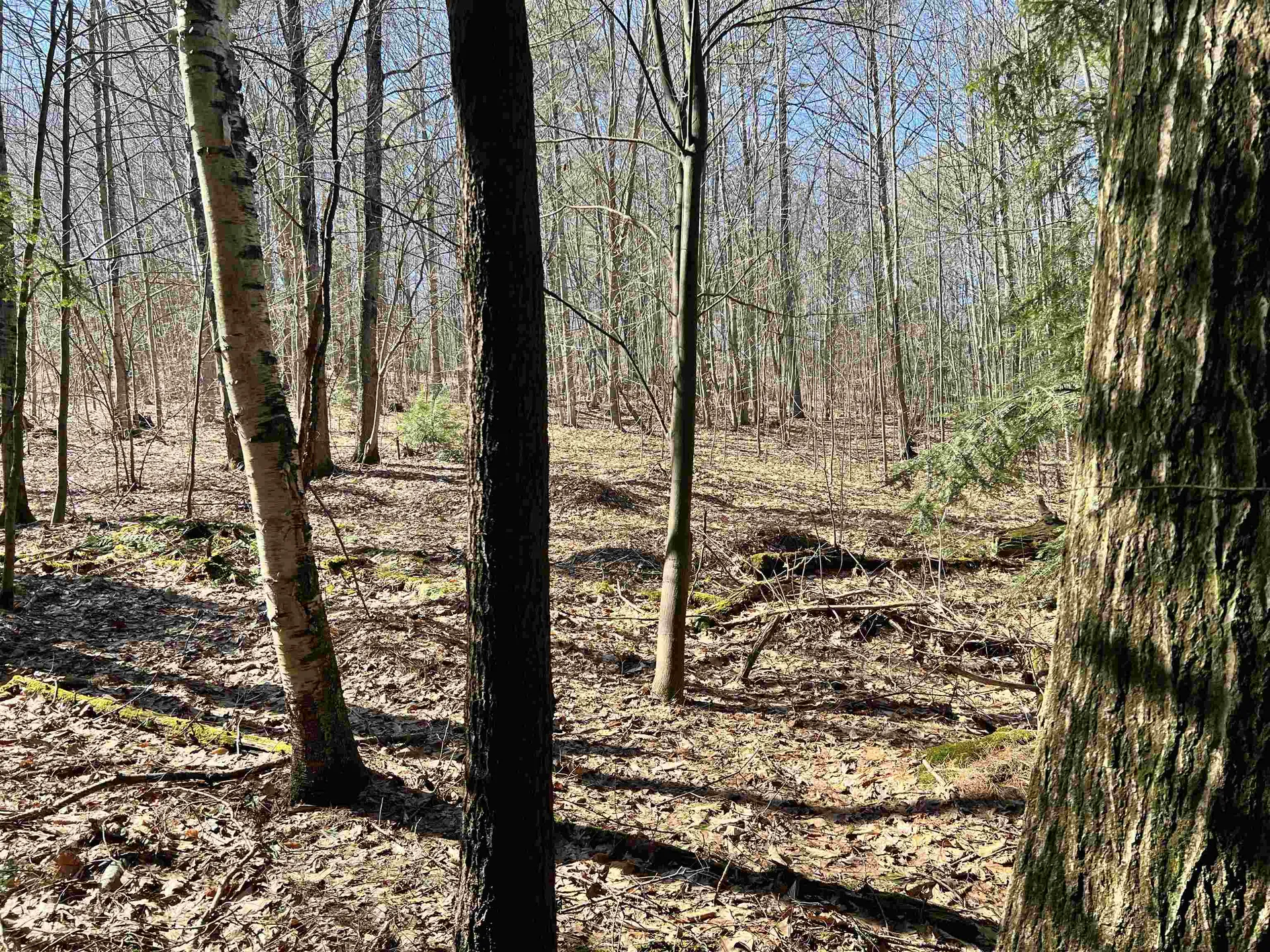 00 Snow Lane Windsor VT 05089