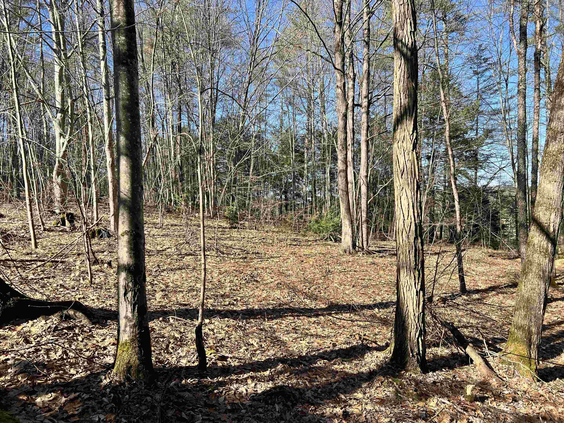 00 Snow Lane Windsor VT 05089