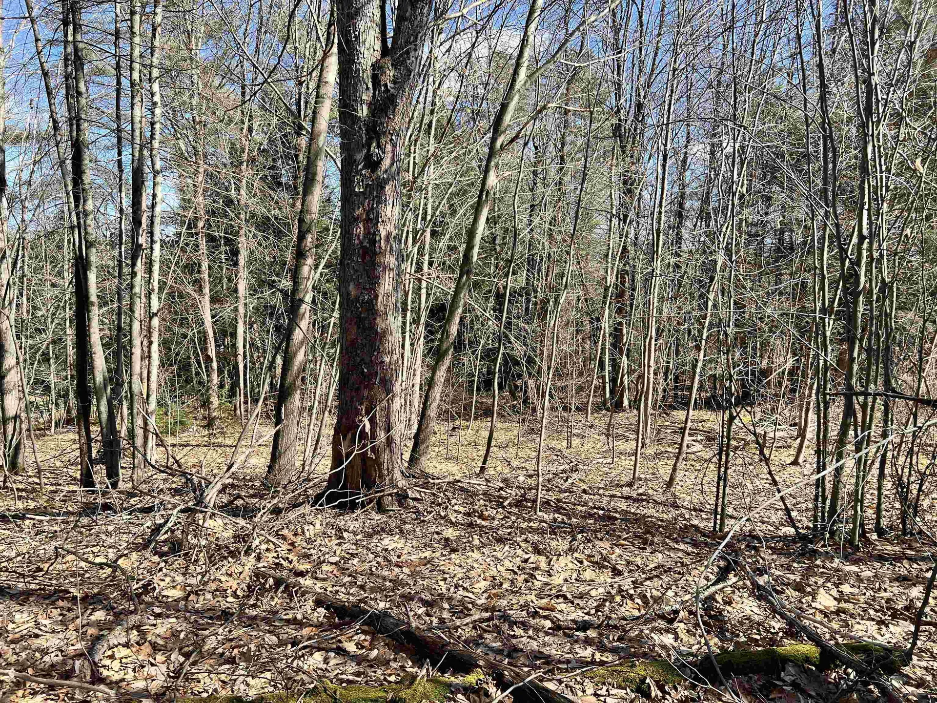 00 Snow Lane Windsor VT 05089