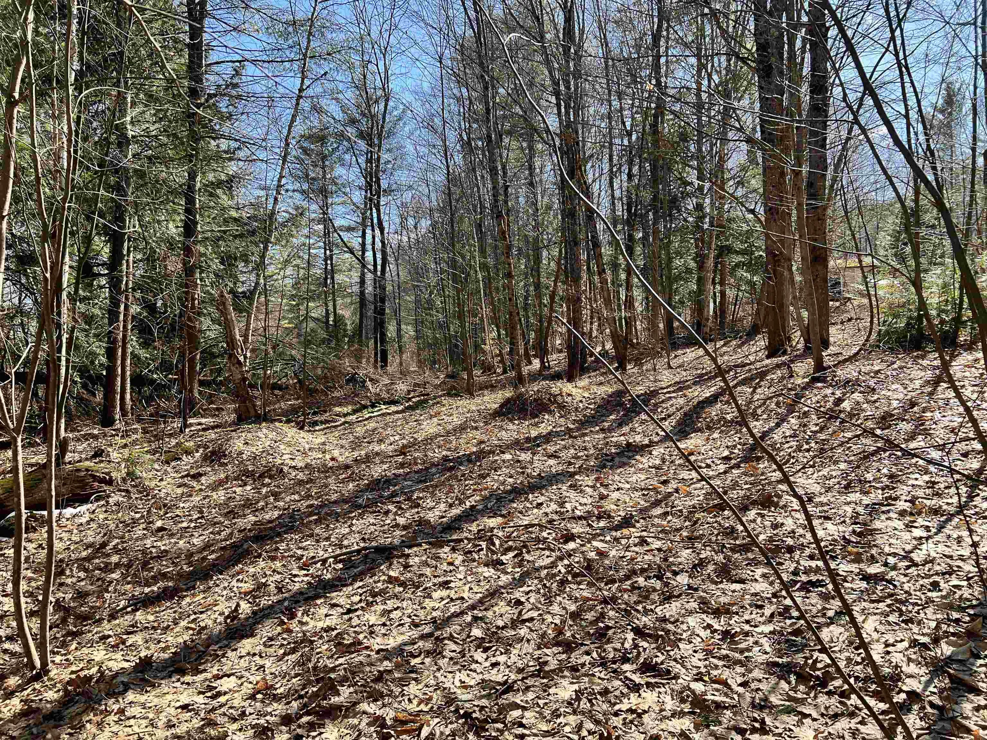 00 Snow Lane Windsor VT 05089