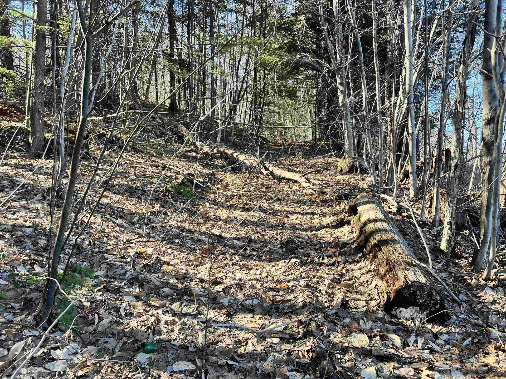 00 Snow Lane Windsor VT 05089