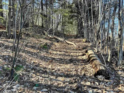 00 Snow Lane Windsor VT 05089