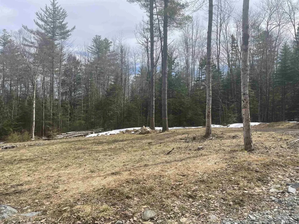 575 Collins Road Halifax VT 05358