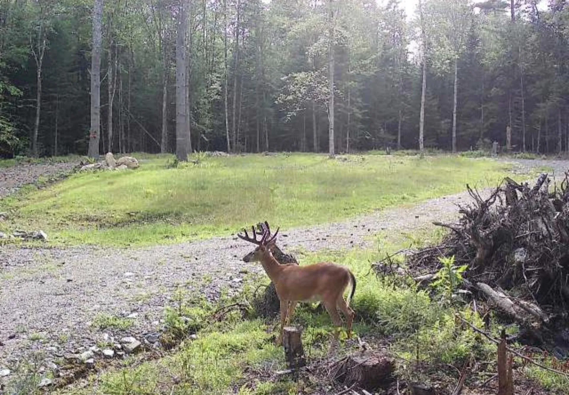 575 Collins Road Halifax VT 05358