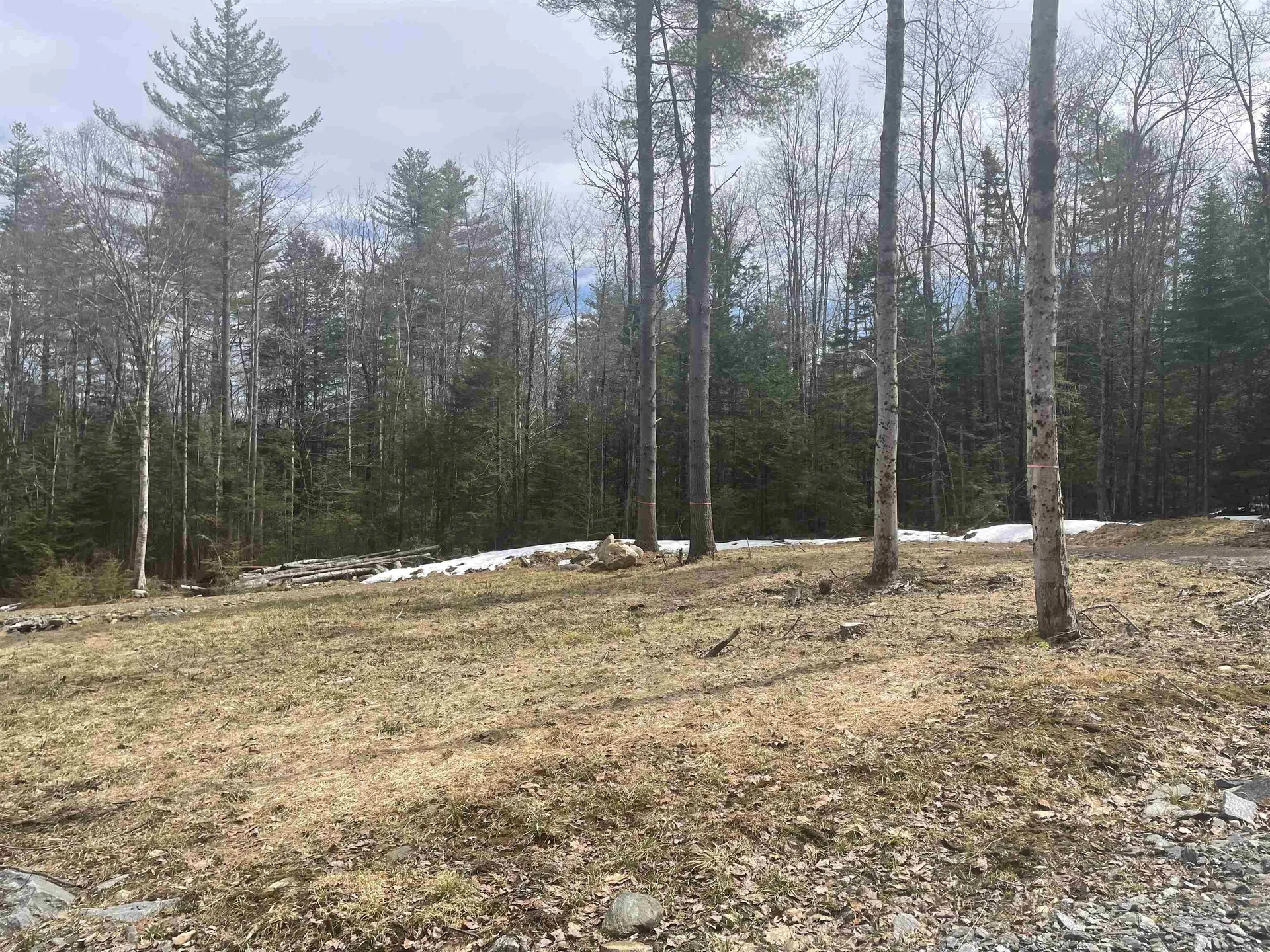 575 Collins Road Halifax VT 05358