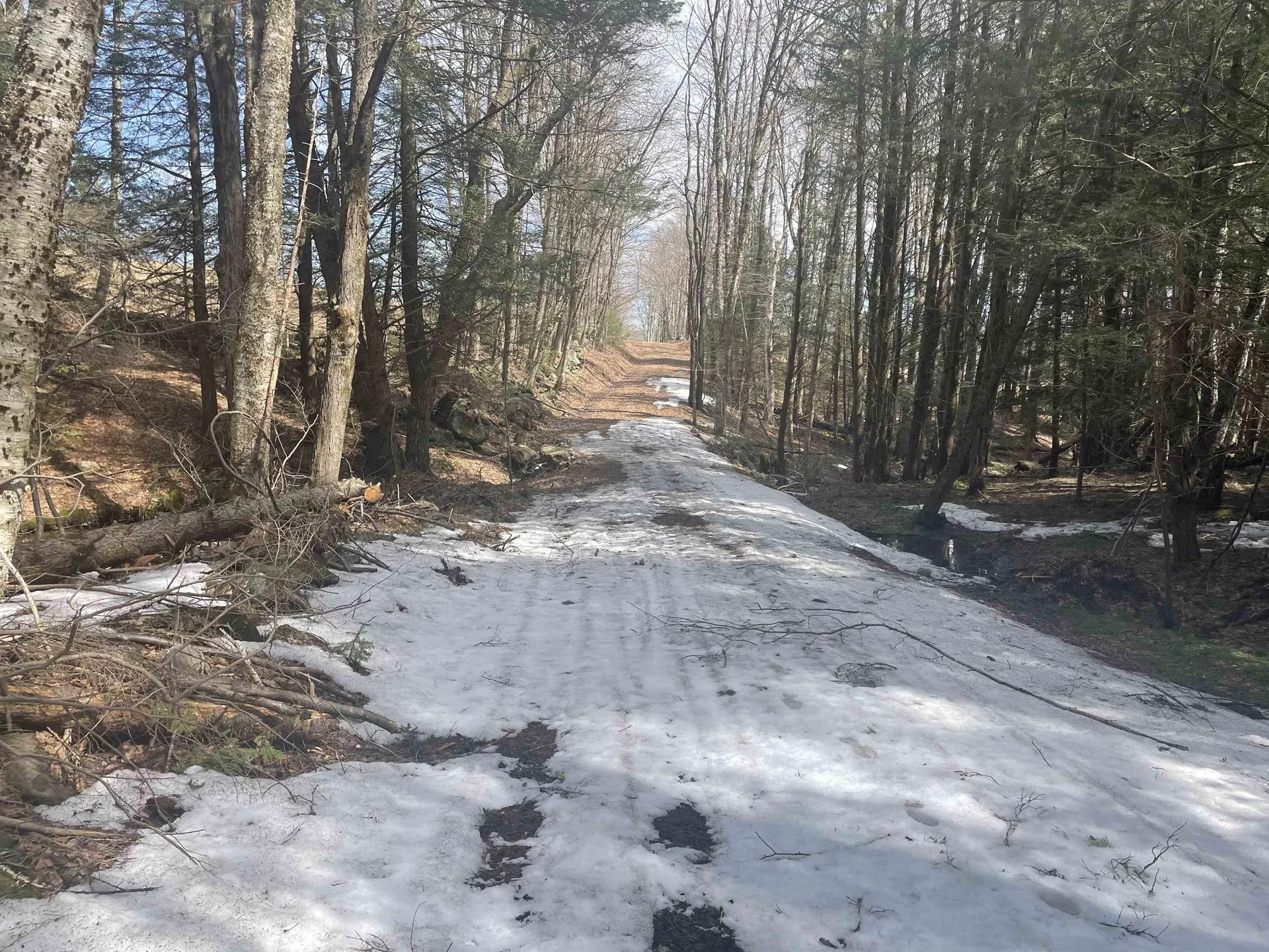 575 Collins Road Halifax VT 05358