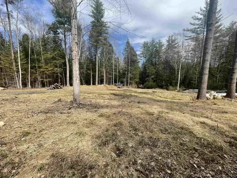 575 Collins Road Halifax VT 05358