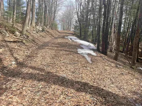 575 Collins Road Halifax VT 05358