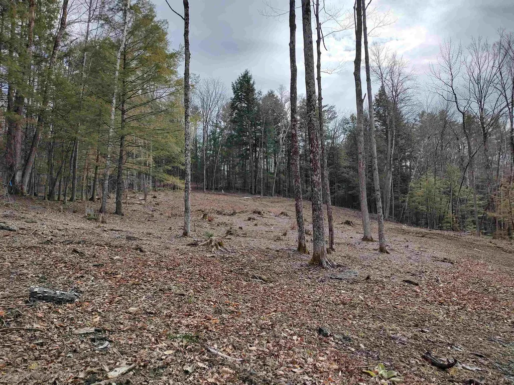 1991 Royalton Hill Road Royalton VT 05068