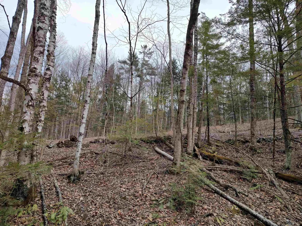 1991 Royalton Hill Road Royalton VT 05068