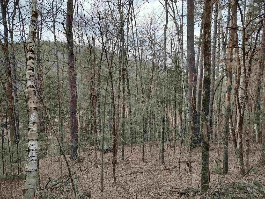 1991 Royalton Hill Road Royalton VT 05068