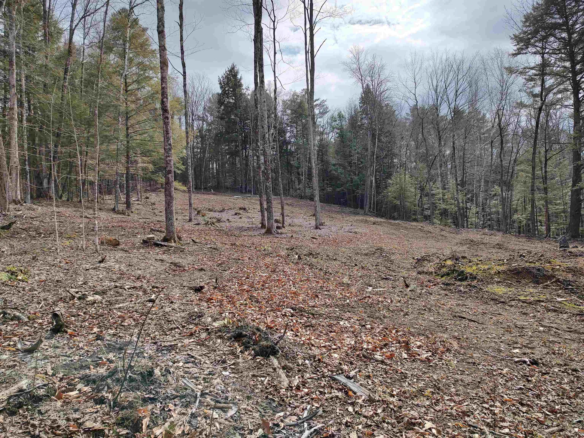 1991 Royalton Hill Road Royalton VT 05068