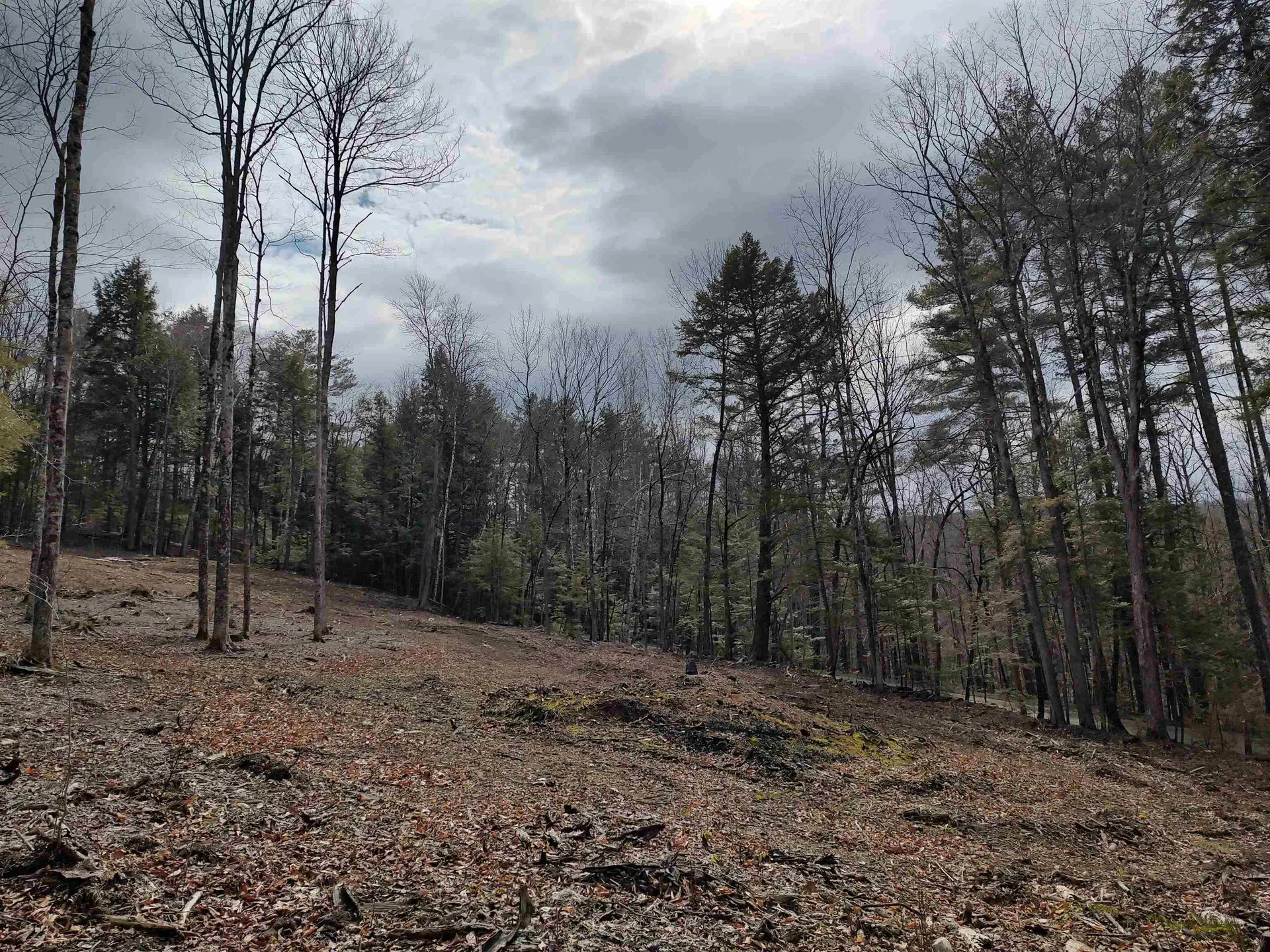 1991 Royalton Hill Road Royalton VT 05068