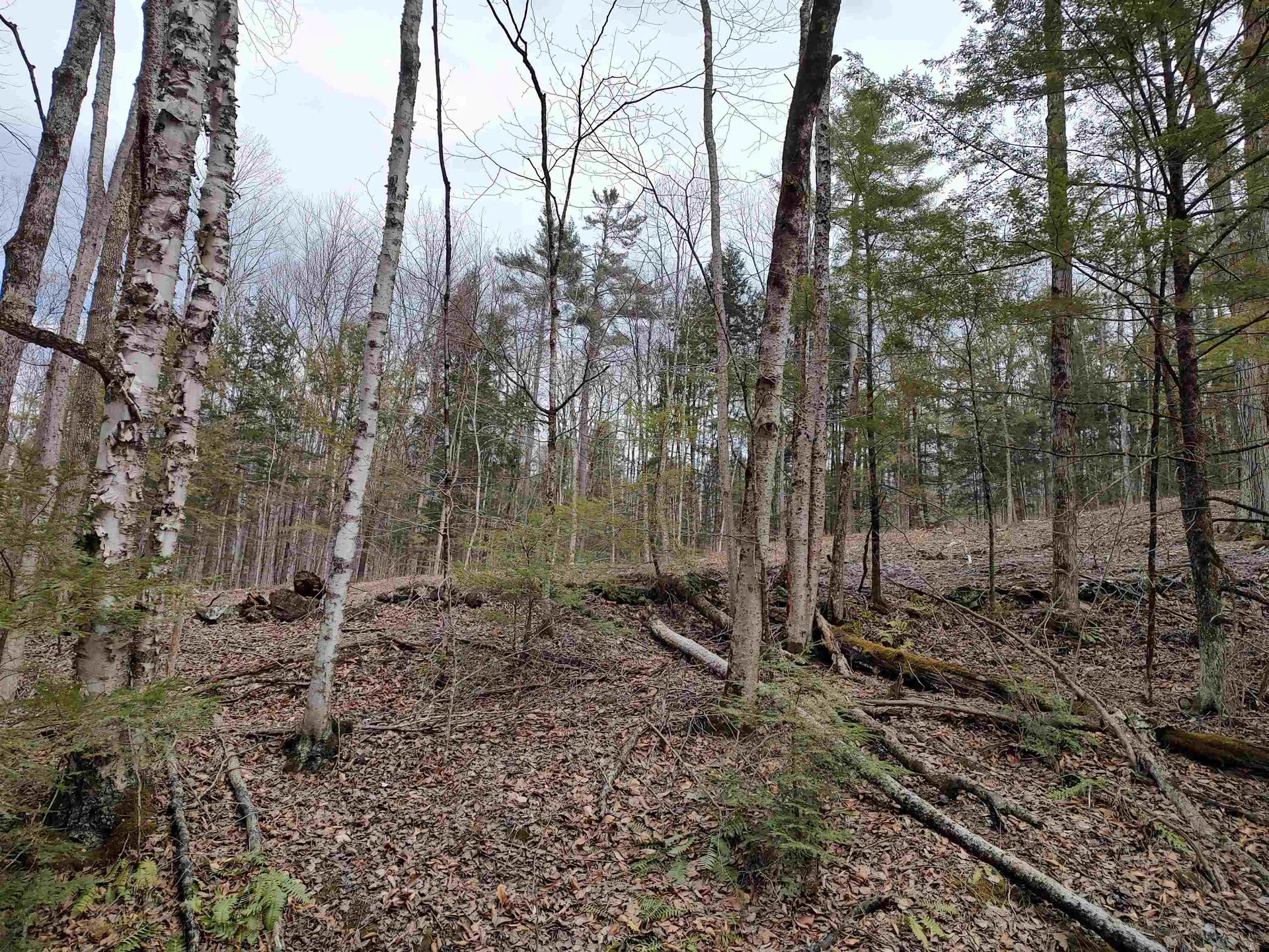 1991 Royalton Hill Road Royalton VT 05068