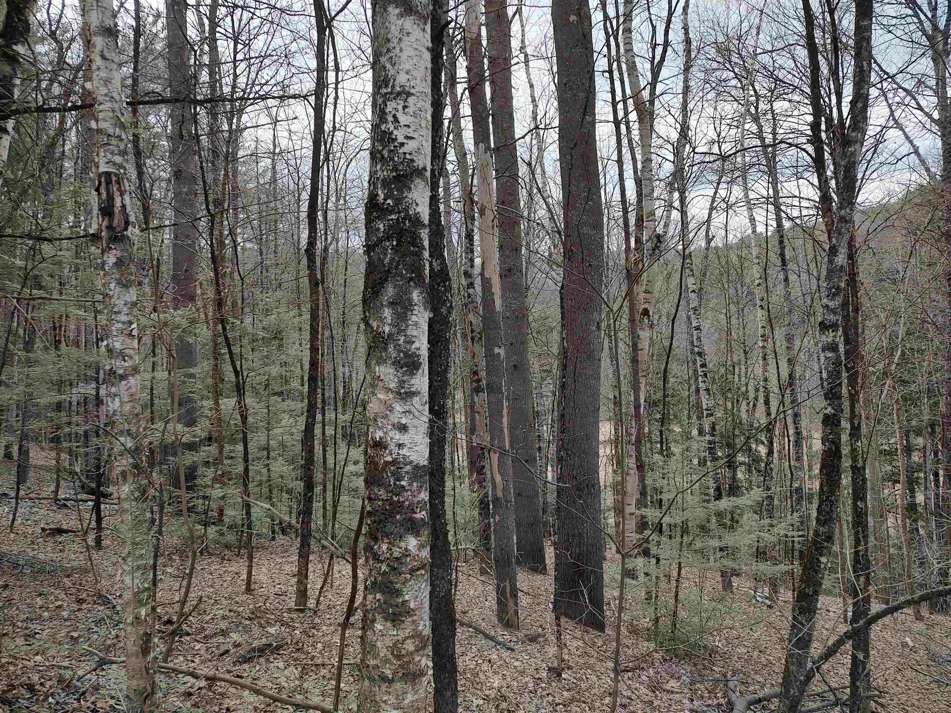 1991 Royalton Hill Road Royalton VT 05068