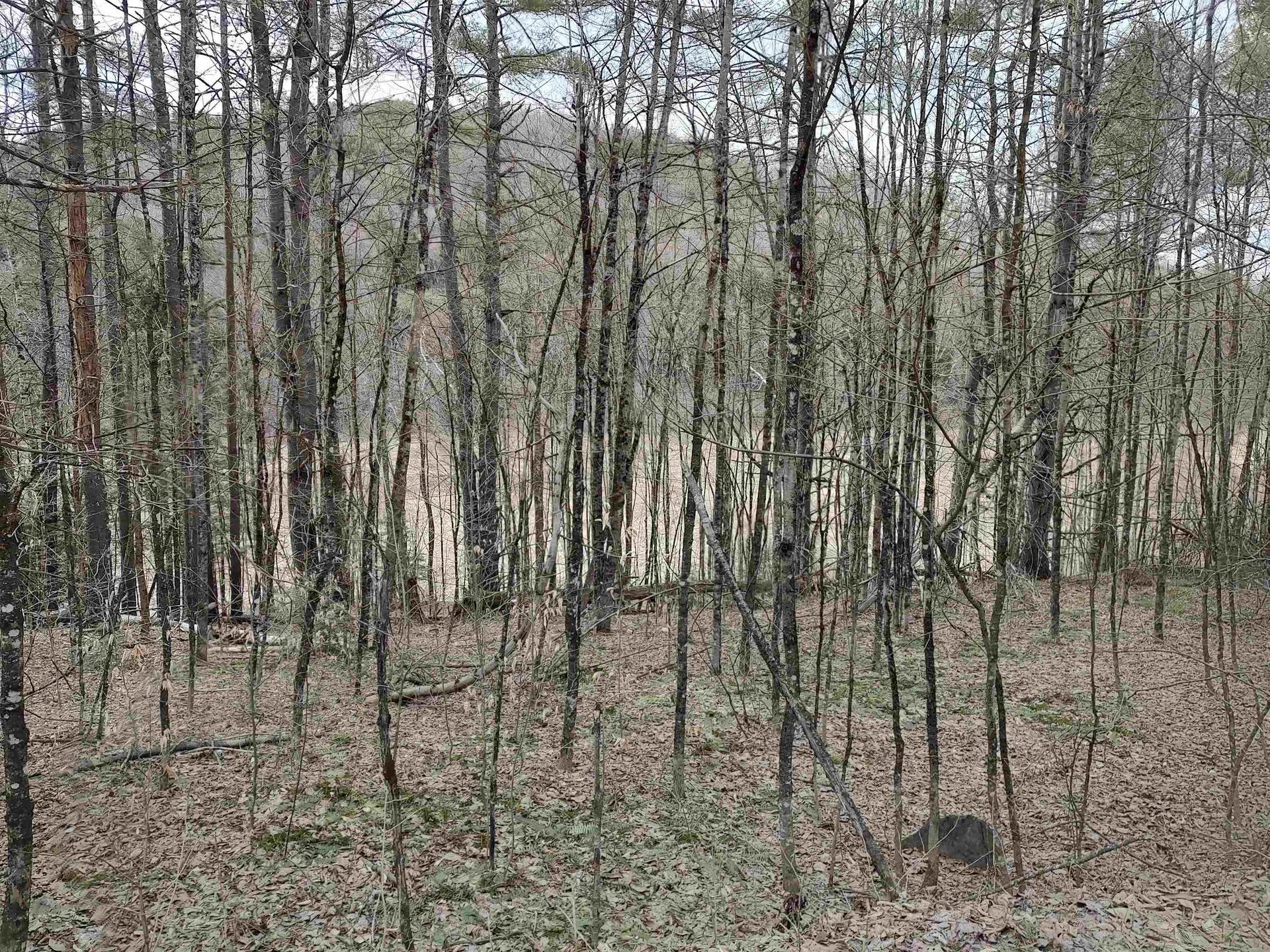 1991 Royalton Hill Road Royalton VT 05068