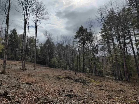 1991 Royalton Hill Road Royalton VT 05068