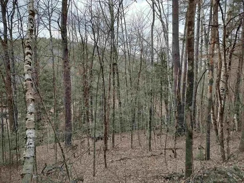 1991 Royalton Hill Road Royalton VT 05068