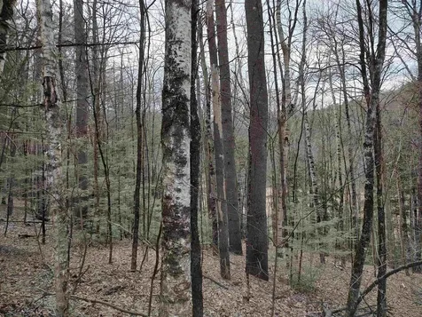 1991 Royalton Hill Road Royalton VT 05068