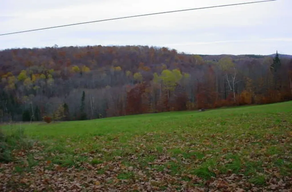 591 Stellar Road Williamstown VT 05679