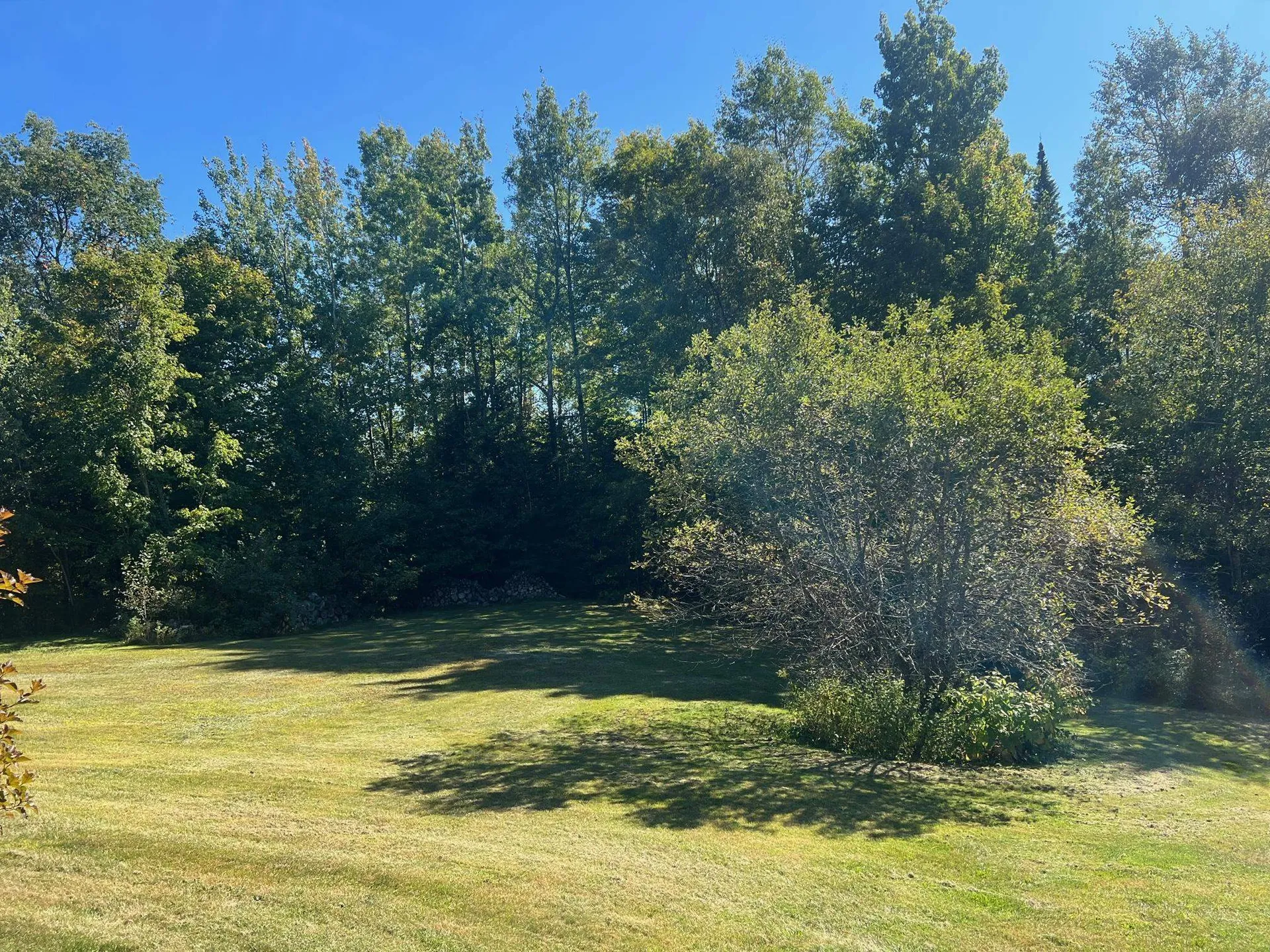 15 Forbes Hill Road Colebrook NH 03576