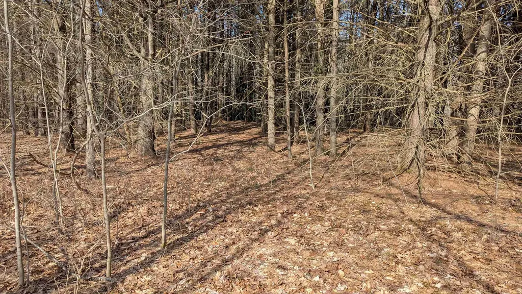 M 3 - L 15-1 Prospect Mountain Road Alton NH 03809