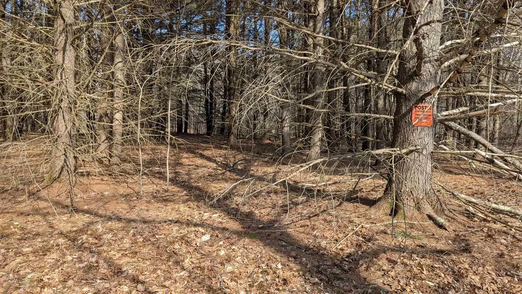 M 3 - L 15-1 Prospect Mountain Road Alton NH 03809