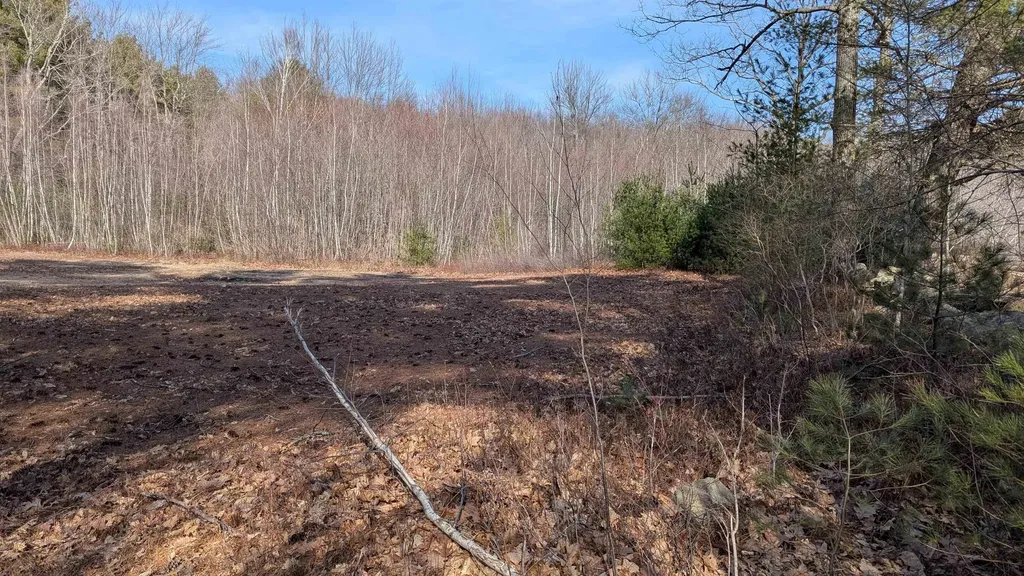 M 3 - L 15-1 Prospect Mountain Road Alton NH 03809