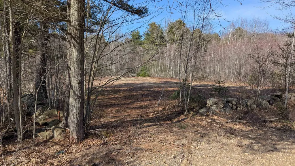 M 3 - L 15-1 Prospect Mountain Road Alton NH 03809