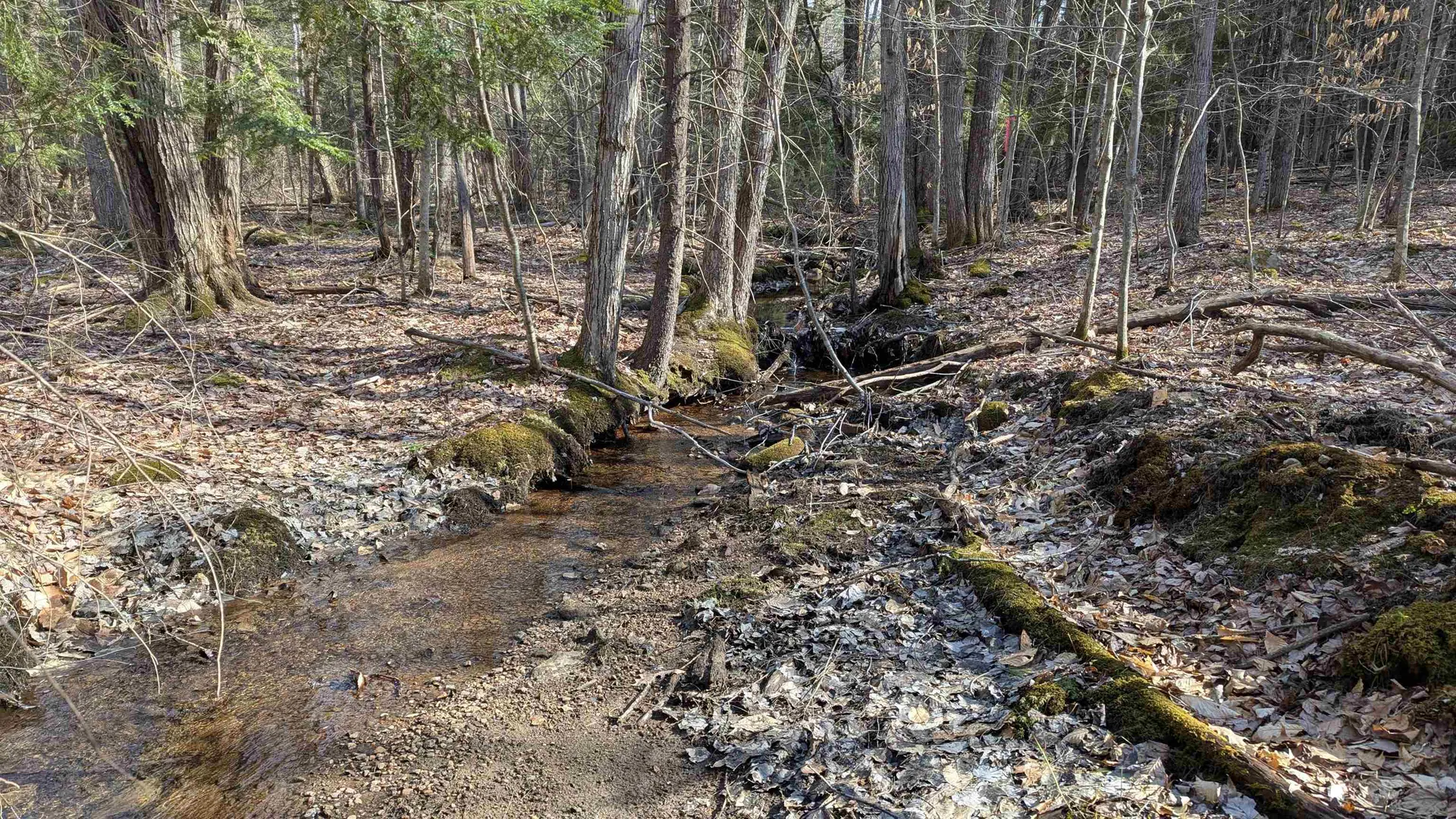 M 3 - L 15-1 Prospect Mountain Road Alton NH 03809