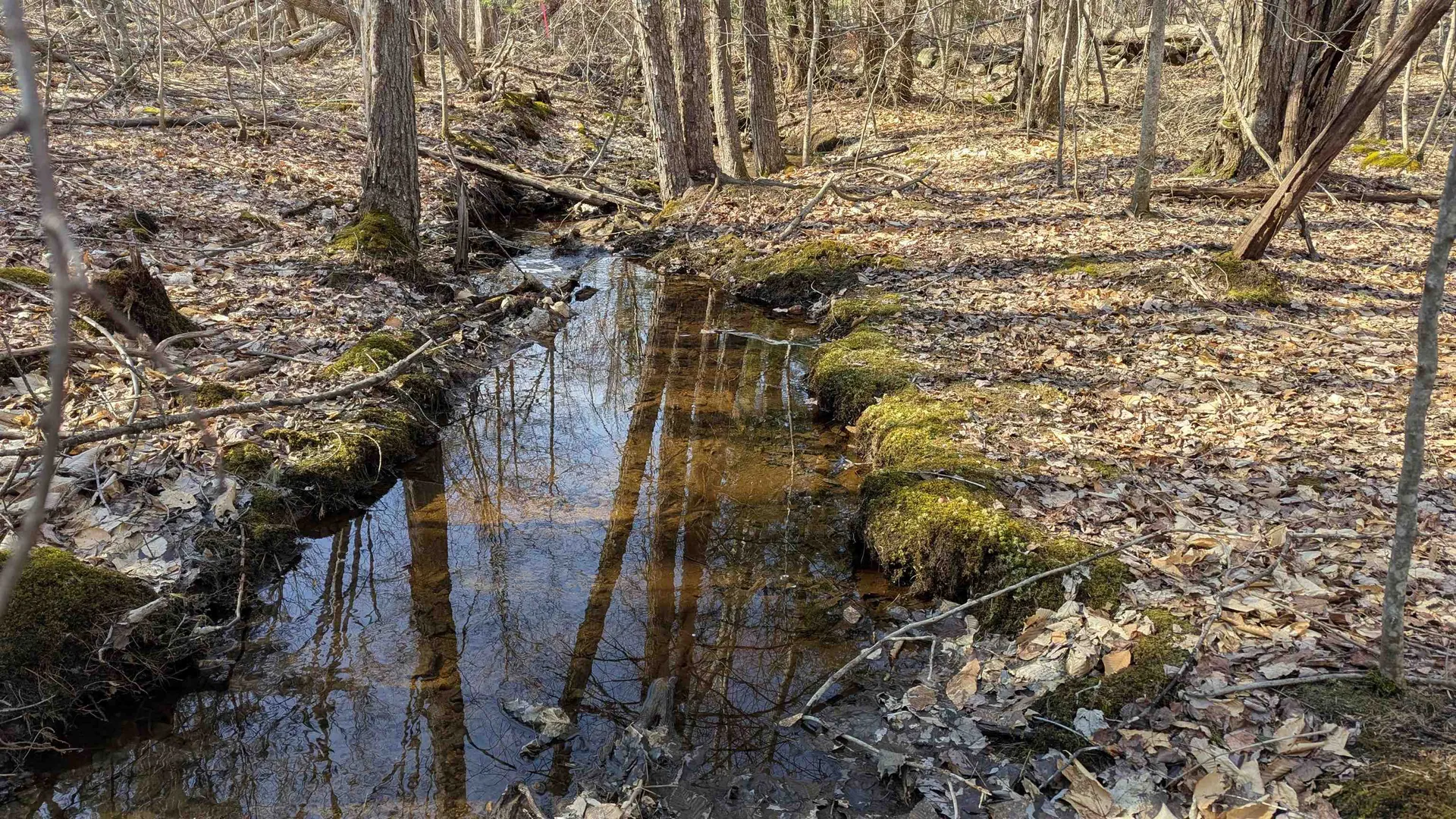 M 3 - L 15-1 Prospect Mountain Road Alton NH 03809