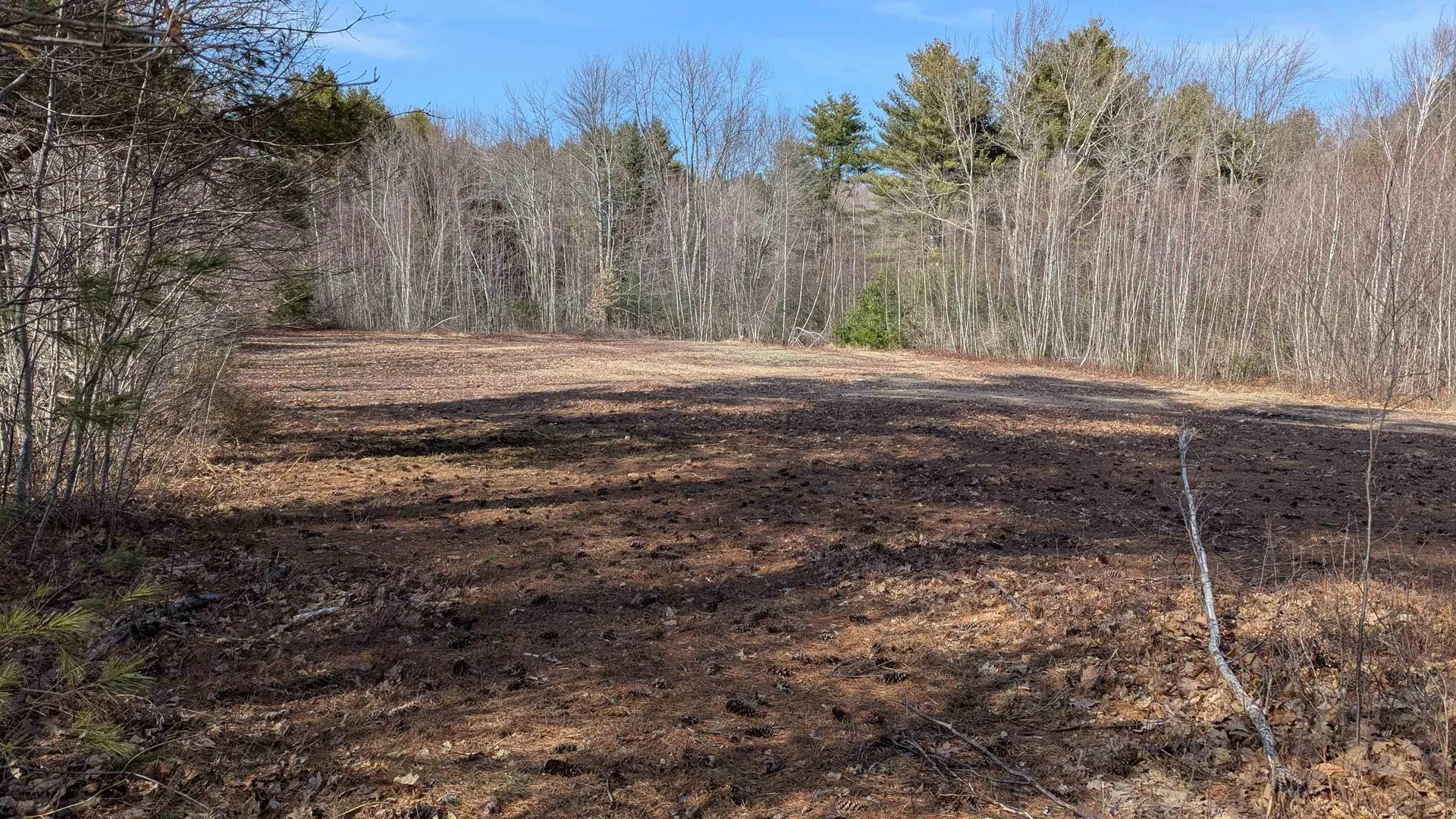 M 3 - L 15-1 Prospect Mountain Road Alton NH 03809