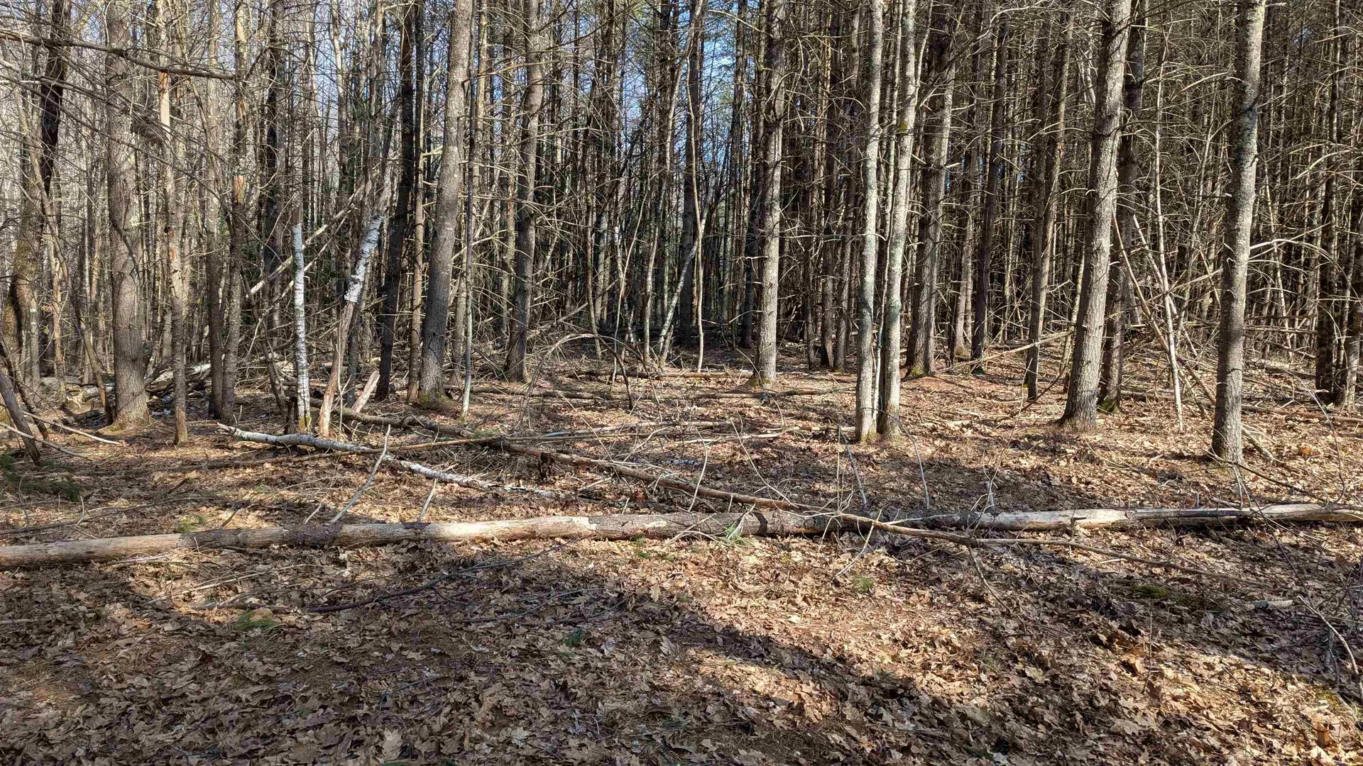 M 3 - L 15-1 Prospect Mountain Road Alton NH 03809