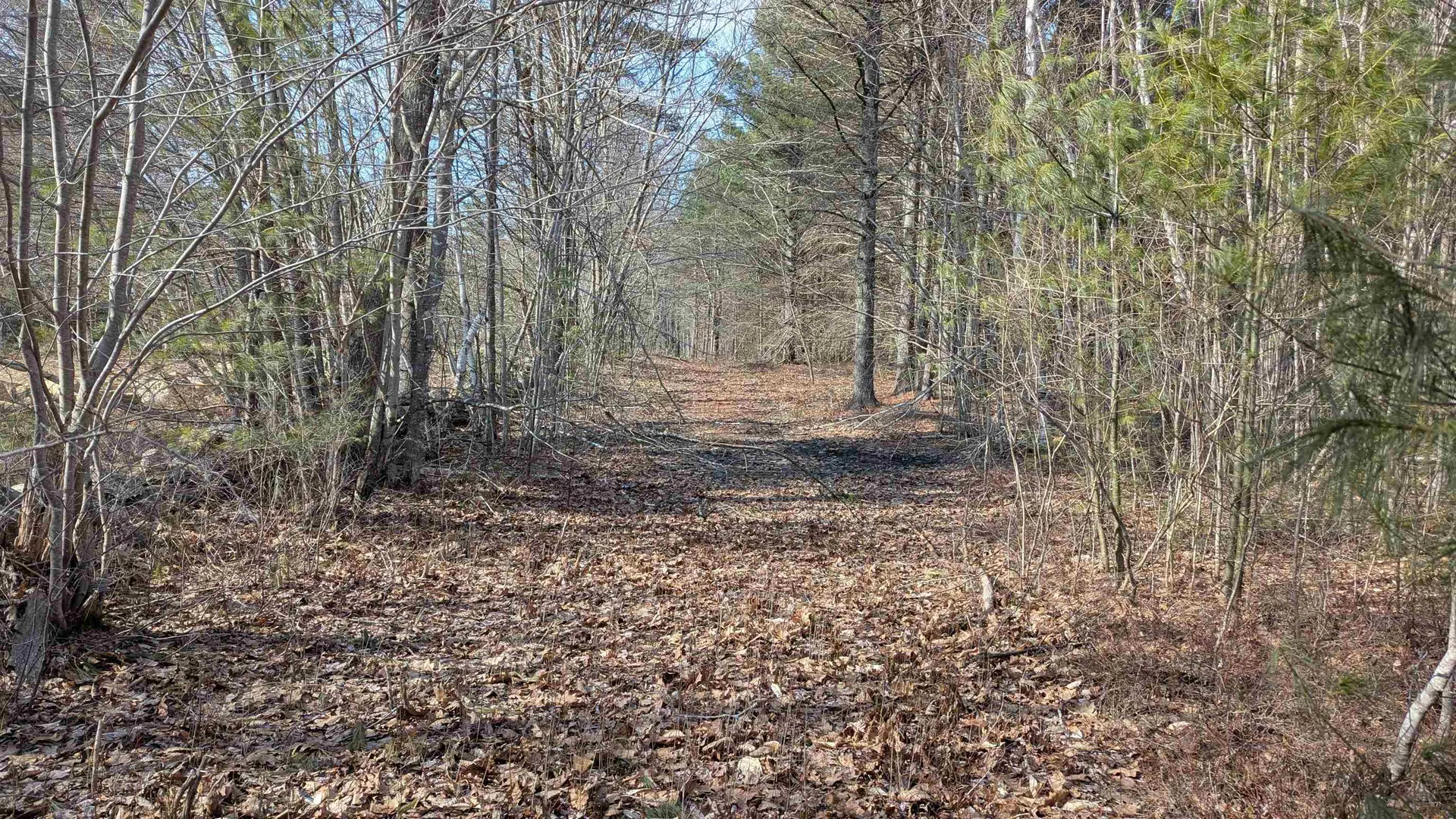 M 3 - L 15-1 Prospect Mountain Road Alton NH 03809