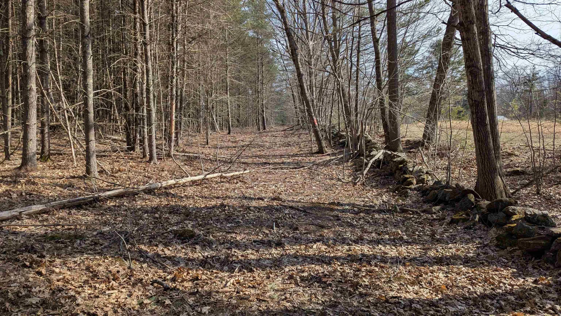 M 3 - L 15-1 Prospect Mountain Road Alton NH 03809