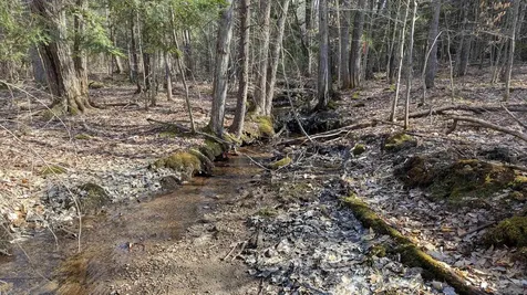 M 3 - L 15-1 Prospect Mountain Road Alton NH 03809