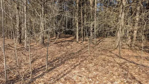 M 3 - L 15-1 Prospect Mountain Road Alton NH 03809