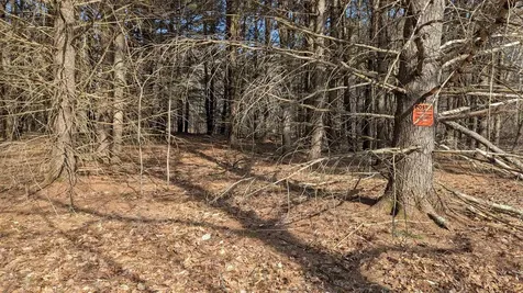 M 3 - L 15-1 Prospect Mountain Road Alton NH 03809