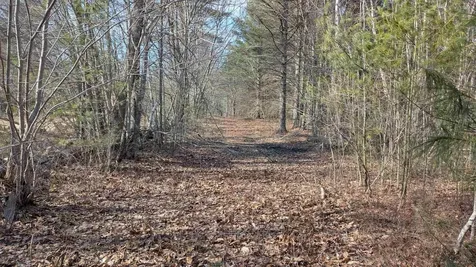 M 3 - L 15-1 Prospect Mountain Road Alton NH 03809