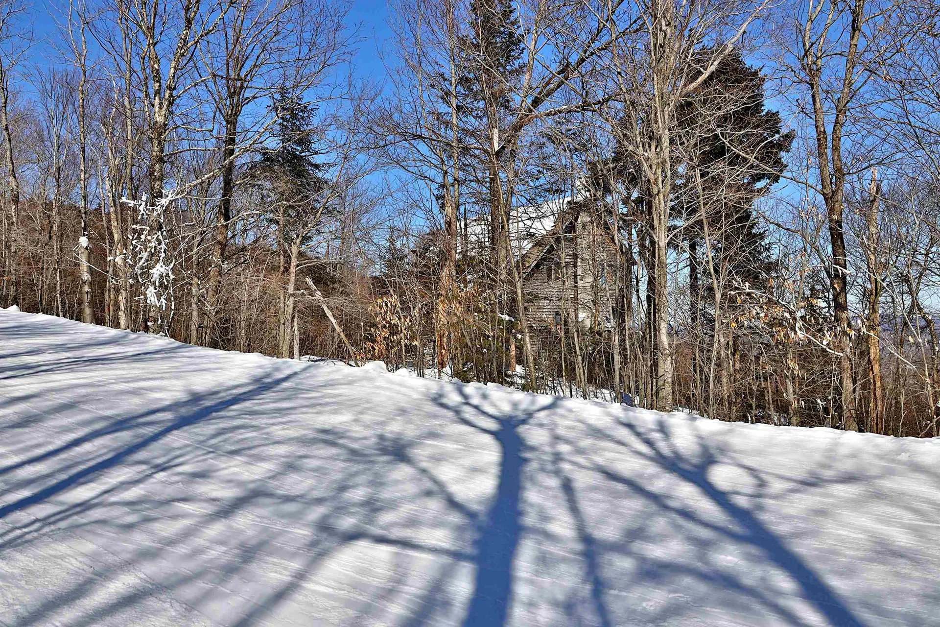 1300 Mountain Road Ludlow VT 05149