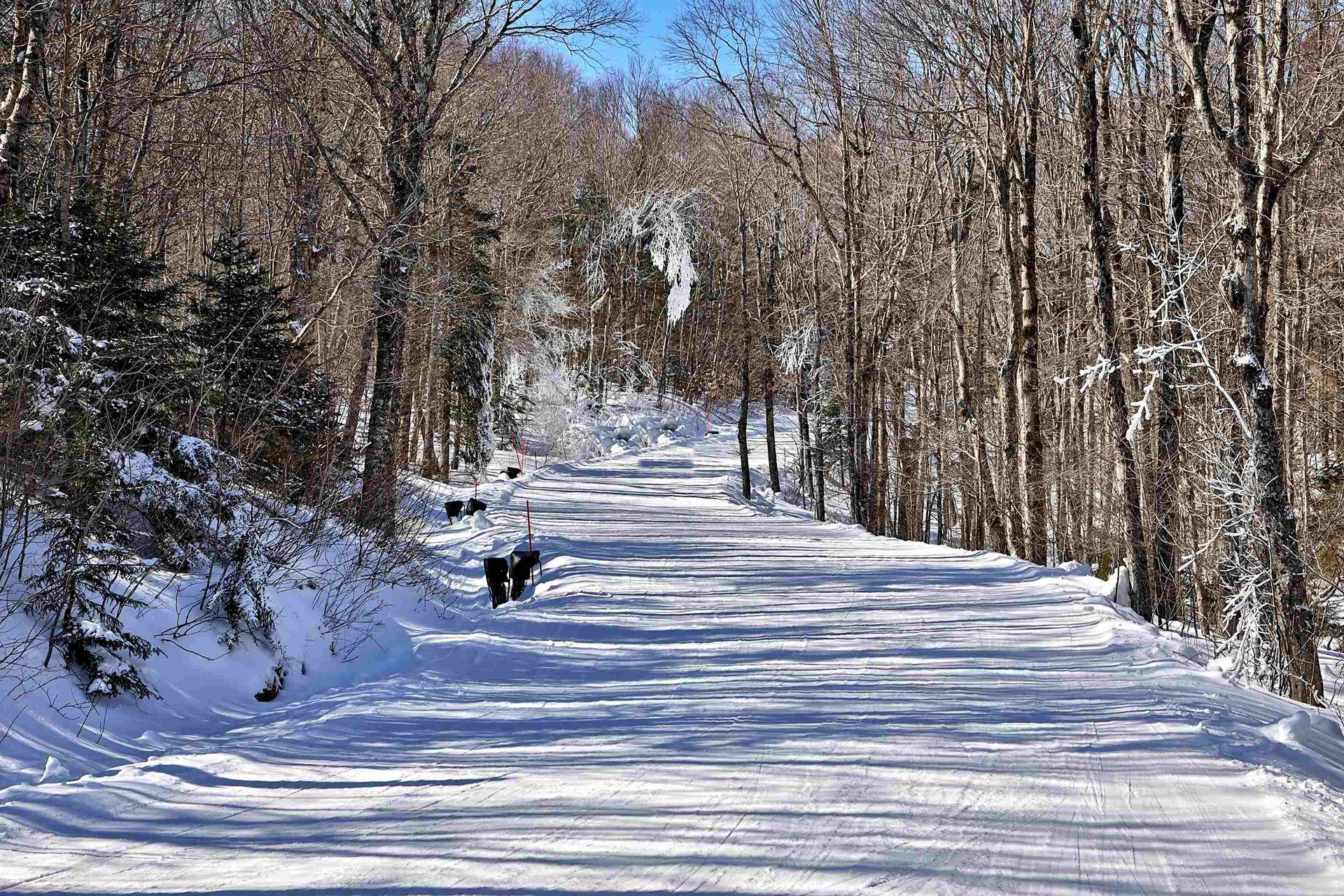 1300 Mountain Road Ludlow VT 05149