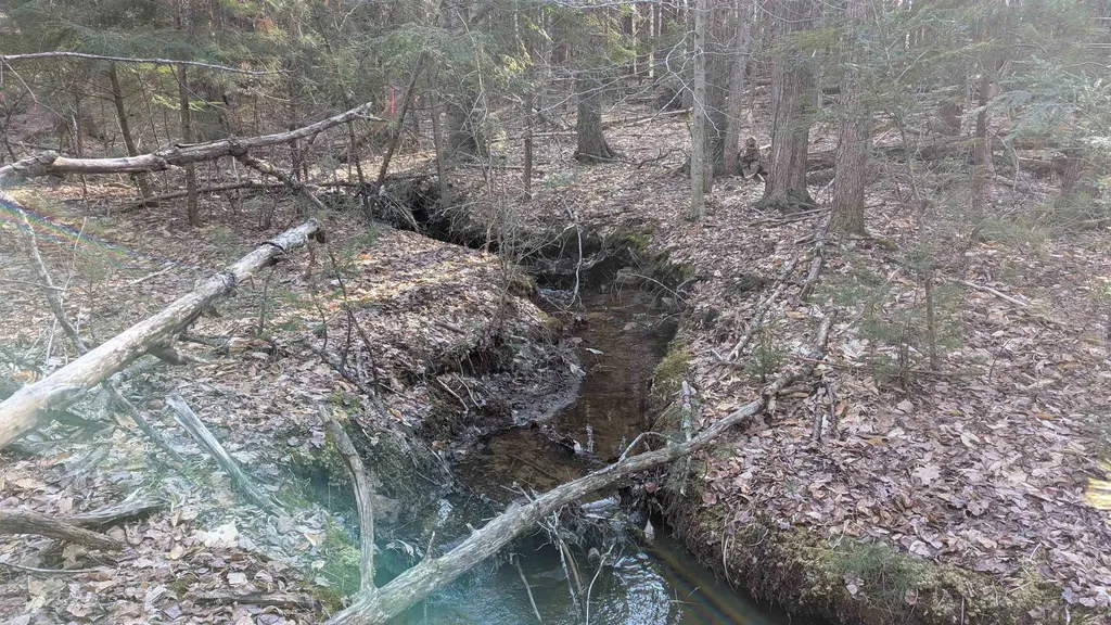 M 3 - L 15-2 Prospect Mountain Road Alton NH 03809