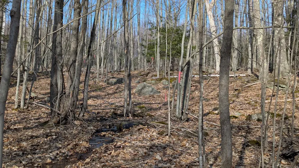 M 3 - L 15-2 Prospect Mountain Road Alton NH 03809