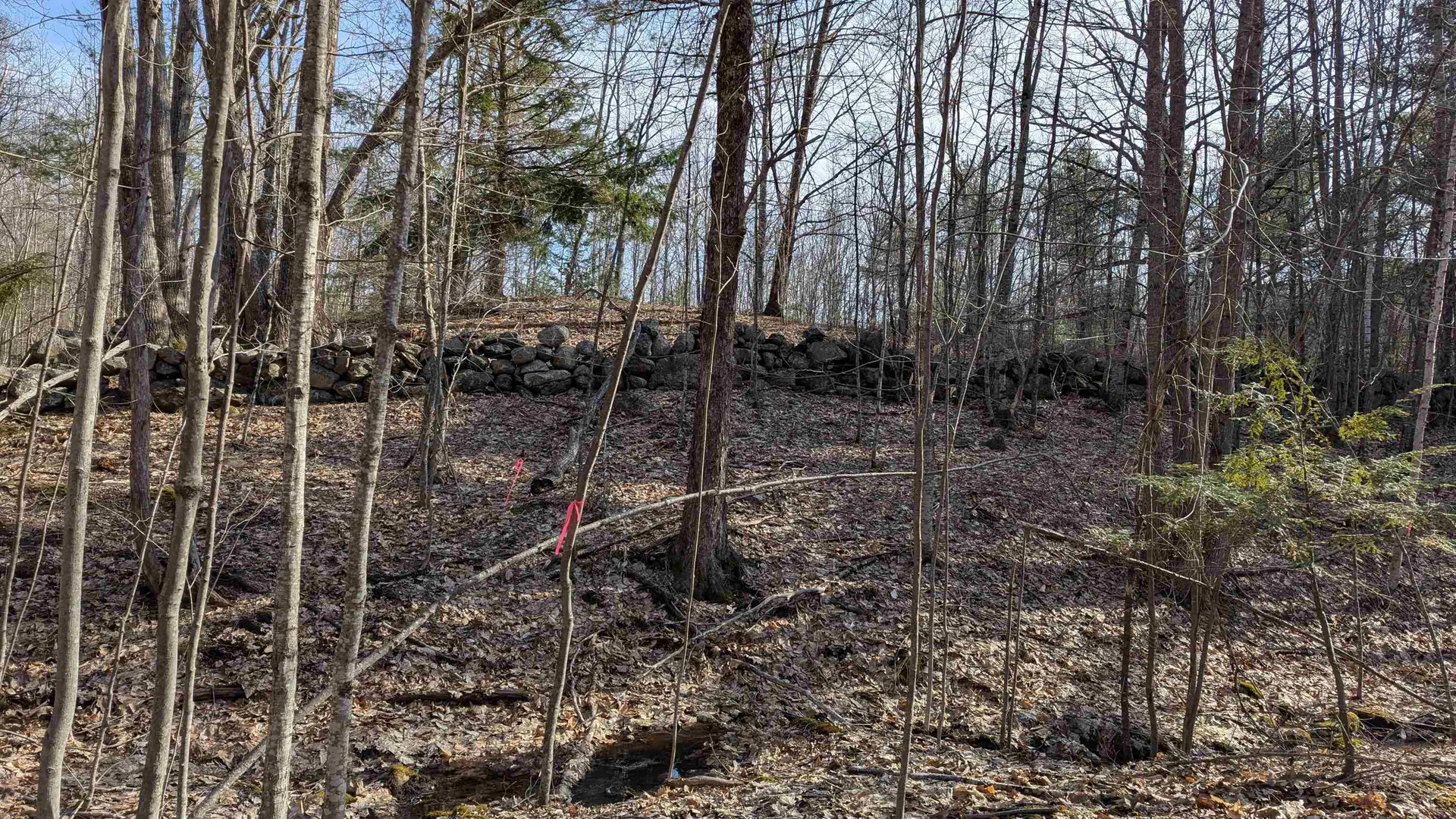 M 3 - L 15-2 Prospect Mountain Road Alton NH 03809