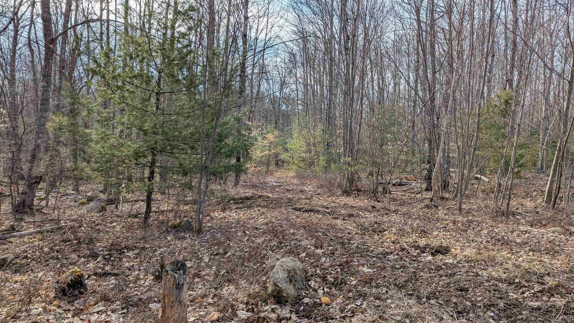 M 3 - L 15-2 Prospect Mountain Road Alton NH 03809